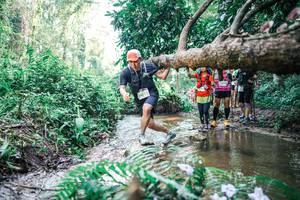 BIB: 
                            <button type="button" onclick="openModal(25469397)" class="btn btn-primary btn-sm float-right btn-popup" data-toggle="modal" data-target=".modal-high-quality">
                        <i class="fas fa-shopping-cart"></i> Add to Cart
                    </button>
                                            <button type="button" onclick="isThisMe(25469397, true)" class="btn btn-success btn-sm float-right btn-popup btn-isme hidden" data-toggle="tooltip" data-placement="bottom" title="นี่คือรูปของคุณใช่ไหม คลิกที่นี่เพื่อเอาเข้าอัลบั้ม">
                        <i class="fas fa-plus"></i> Add to album
                    </button>
                    <button type="button" onclick="isThisMe(25469397, false)" class="btn btn-warning btn-sm float-right btn-popup btn-isnotme hidden">
                        <i class="fas fa-ban"></i> Remove from album
                    </button>